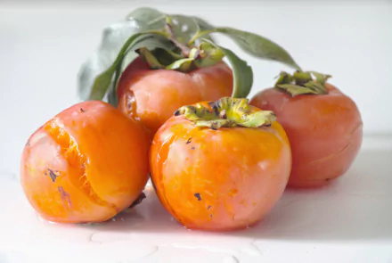 HD PC desktop wallpaper: close-up of ripe orange persimmons with green leaves on a white background, food photography.