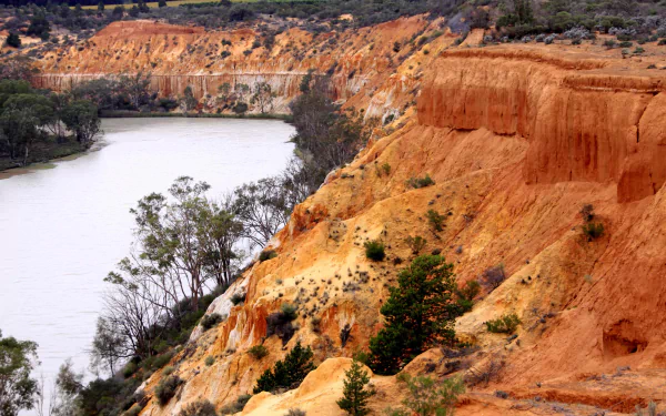 4K Ultra HD PC desktop wallpaper: Murray River winding past ochre sandstone cliffs with scattered eucalyptus trees, a vivid river nature landscape.
