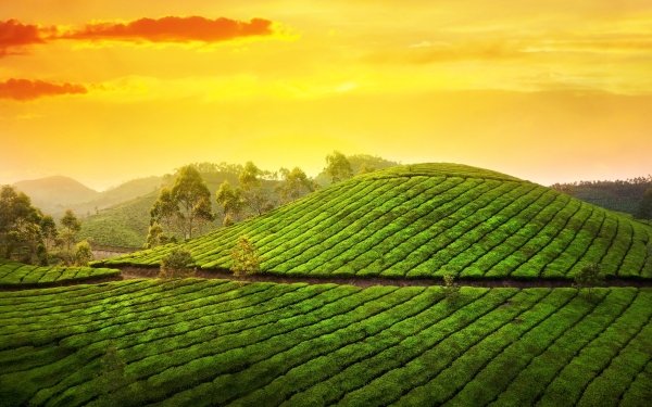 Earth Landscape HD Wallpaper | Background Image