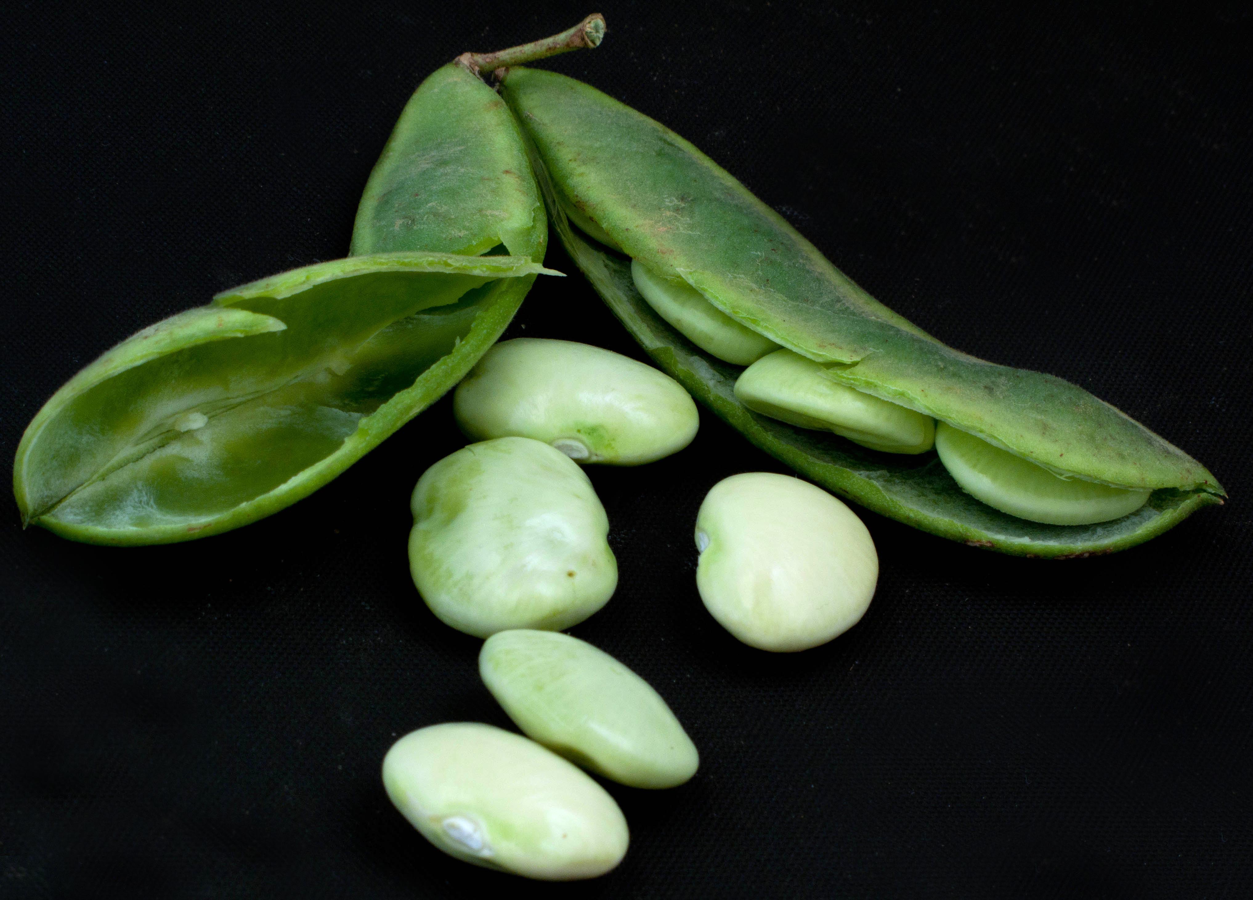 Food Lima Beans HD Wallpaper | Background Image