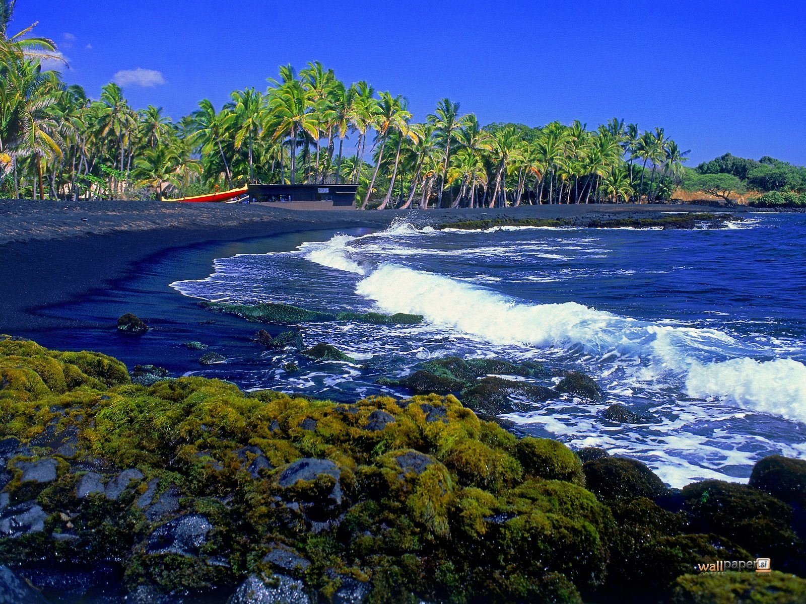 A vibrant beach scene featuring lush palm trees, gentle waves lapping at black sand, and rocky shores, making it a stunning HD PC desktop wallpaper and background.
