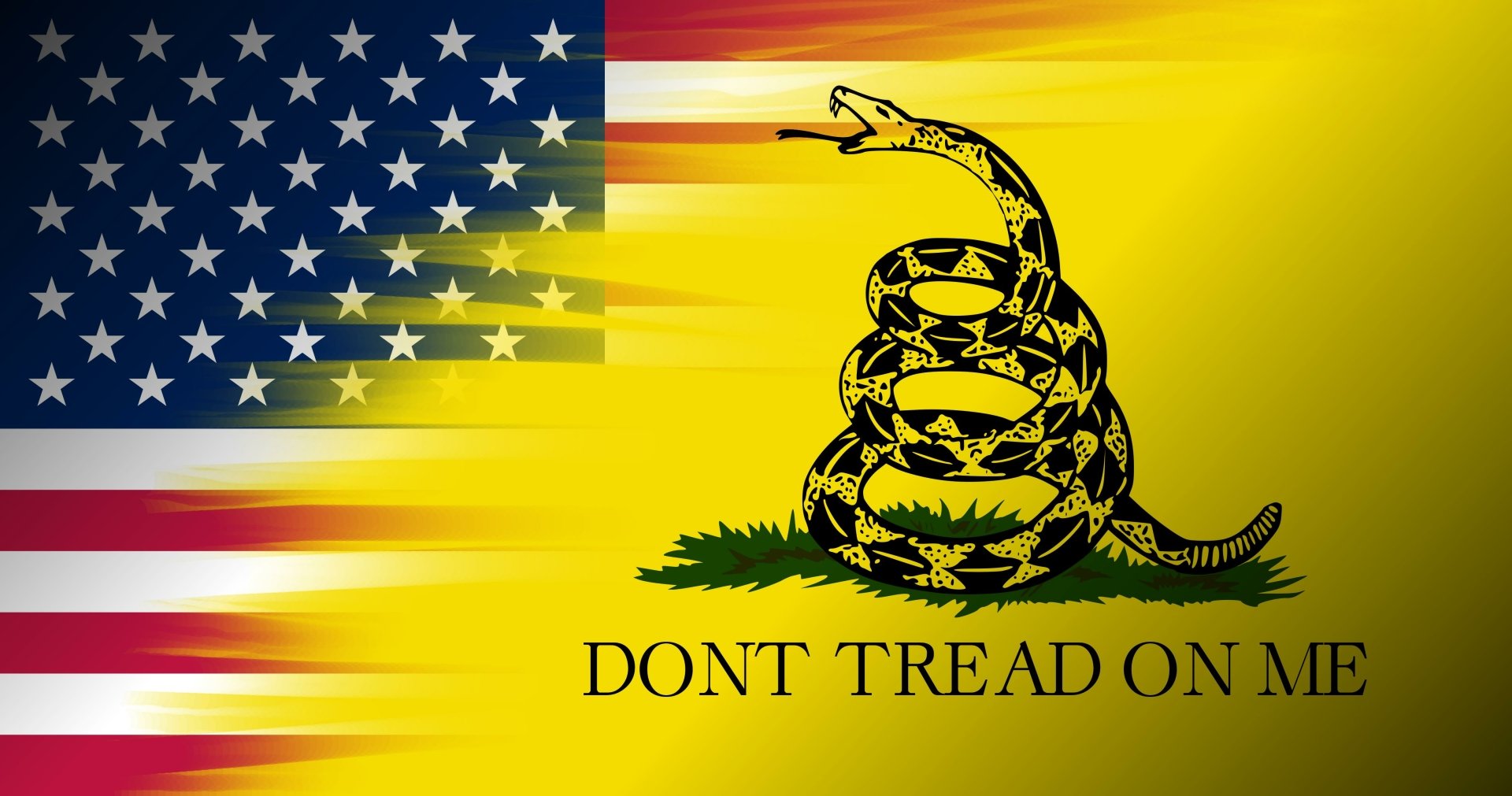 Gadsden Flag HD Wallpapers and Backgrounds.
