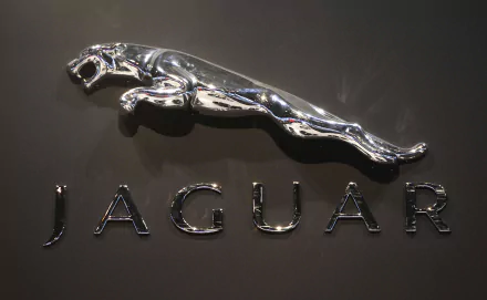 HD desktop wallpaper featuring a sleek silver Jaguar car emblem on a dark background, highlighting the iconic vehicle brand logo.