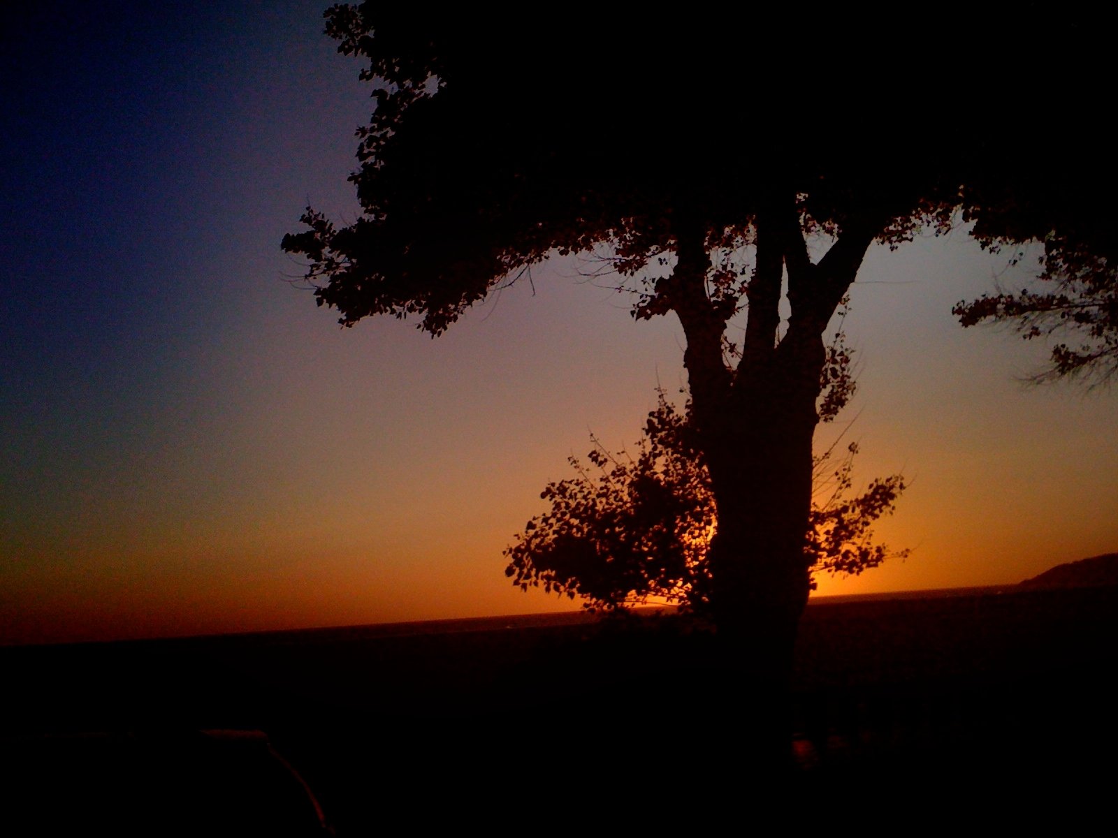 HD PC desktop wallpaper showing a summer sunset with the sun setting behind a silhouetted tree in a natural landscape.
