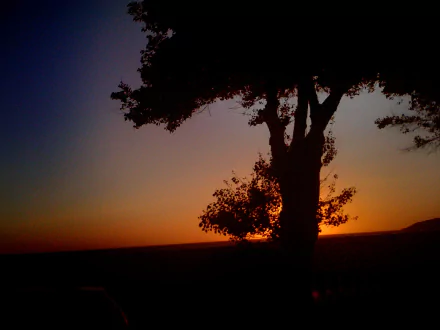 HD PC desktop wallpaper showing a summer sunset with the sun setting behind a silhouetted tree in a natural landscape.