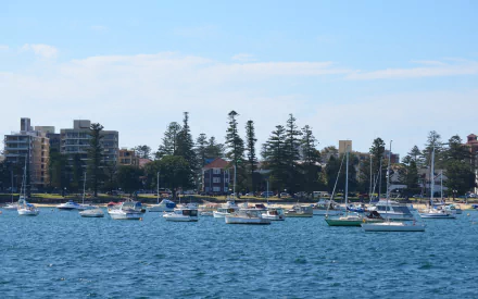 HD desktop wallpaper showing boats anchored near man-made buildings and trees along the Sydney Manly coastline under a bright blue sky.