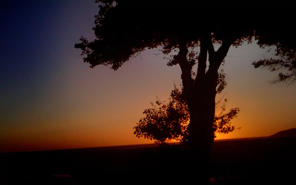 HD PC desktop wallpaper showing a summer sunset with the sun setting behind a silhouetted tree in a natural landscape.