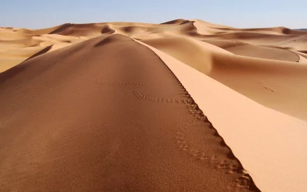 A breathtaking view of rolling desert dunes under a clear blue sky, showcasing the natural beauty and vastness of the arid landscape. High-definition wallpaper for your desktop.