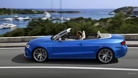 vehicle Audi RS5 HD Desktop Wallpaper | Background Image