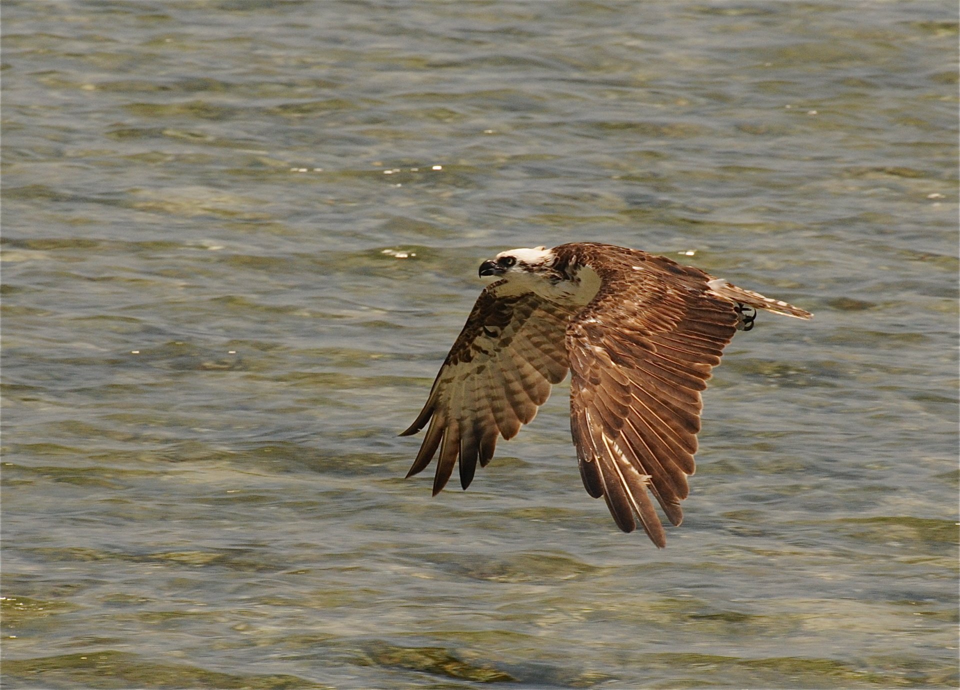 osprey ipad