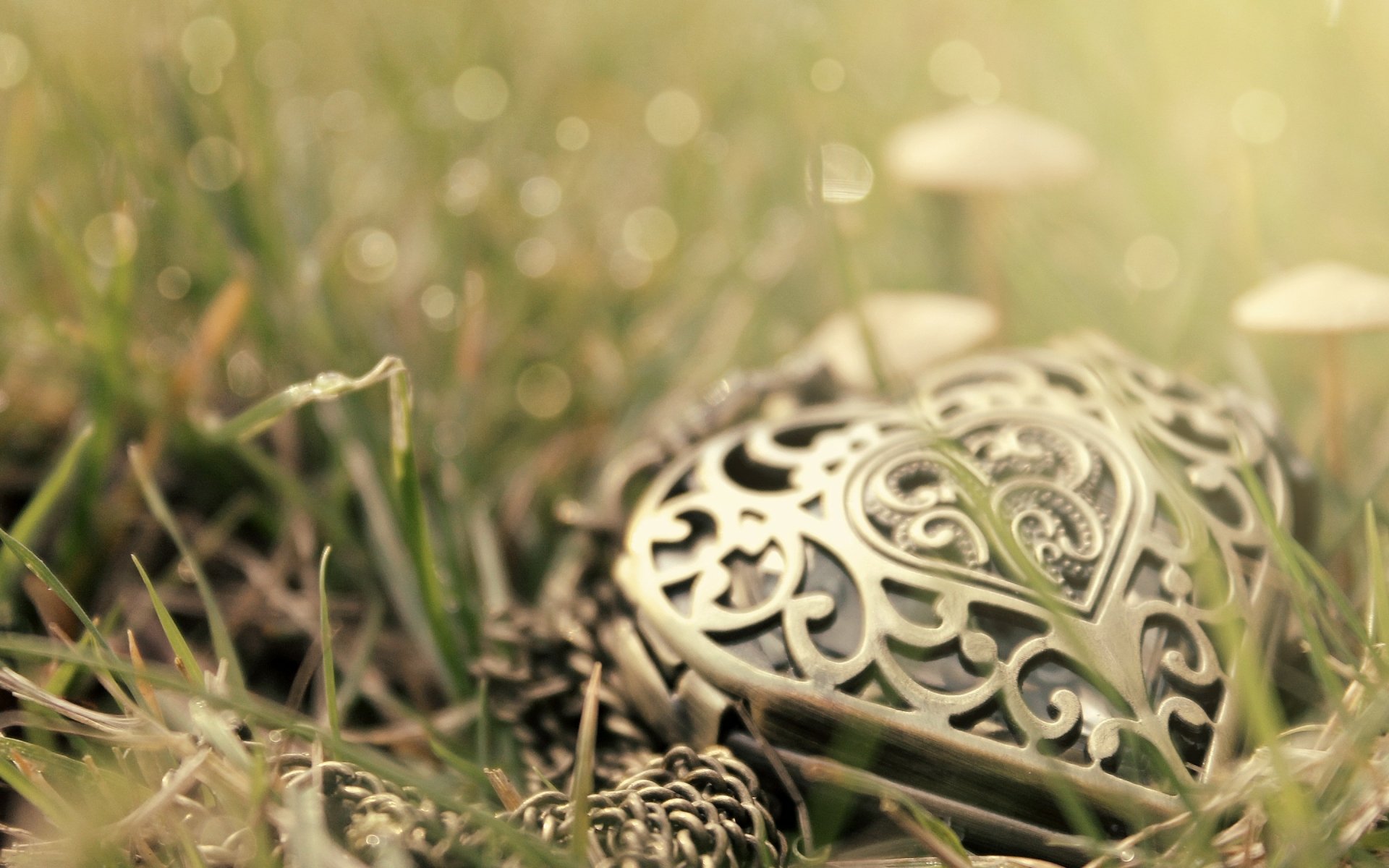 Close-up of an ornate man-made heart-shaped jewelry piece resting on grass, captured in high definition as a PC desktop wallpaper and background.