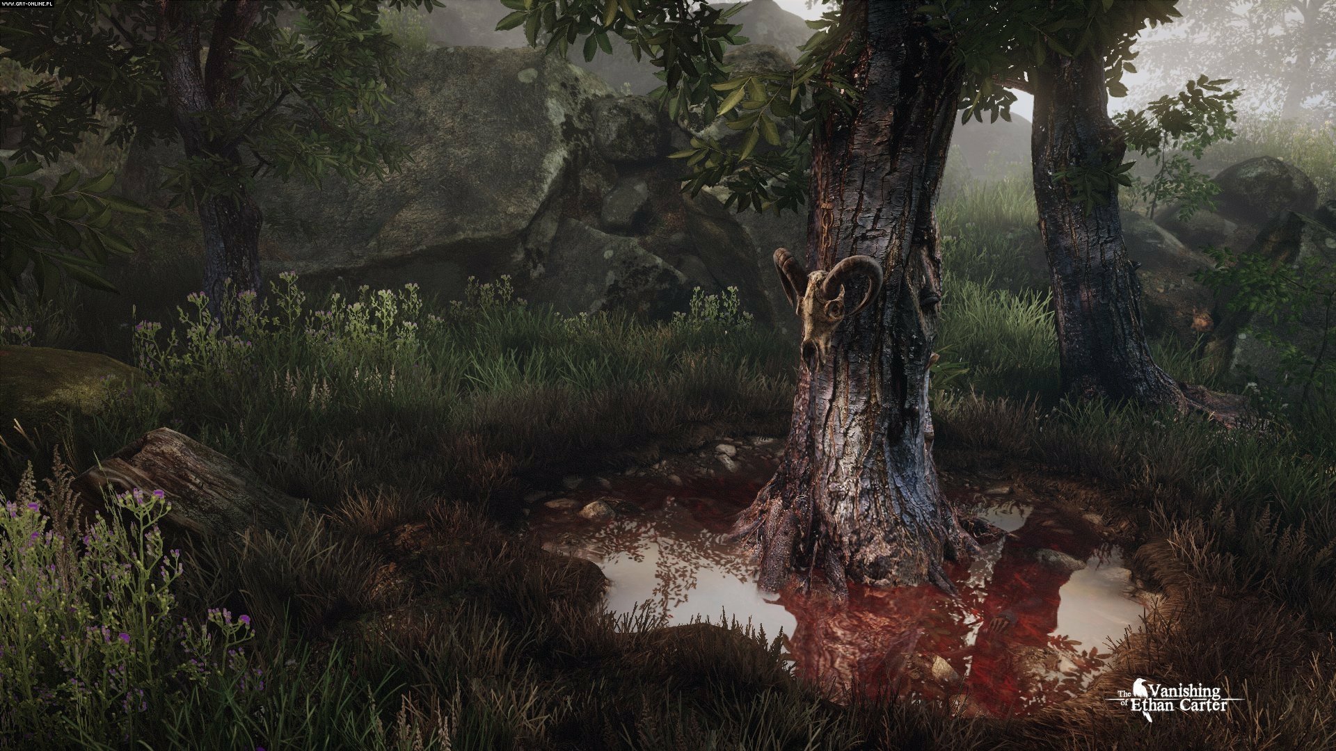 Download Video Game The Vanishing Of Ethan Carter HD Wallpaper