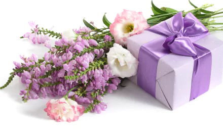 Misc gift HD Desktop Wallpaper | Background Image