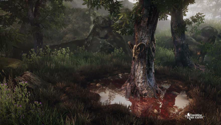 video game The Vanishing of Ethan Carter HD Desktop Wallpaper | Background Image