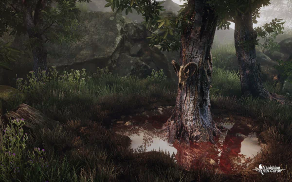 video game The Vanishing of Ethan Carter HD Desktop Wallpaper | Background Image