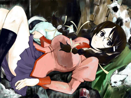 Tsubasa Hanekawa Anime Monogatari (Series) HD Desktop Wallpaper | Background Image
