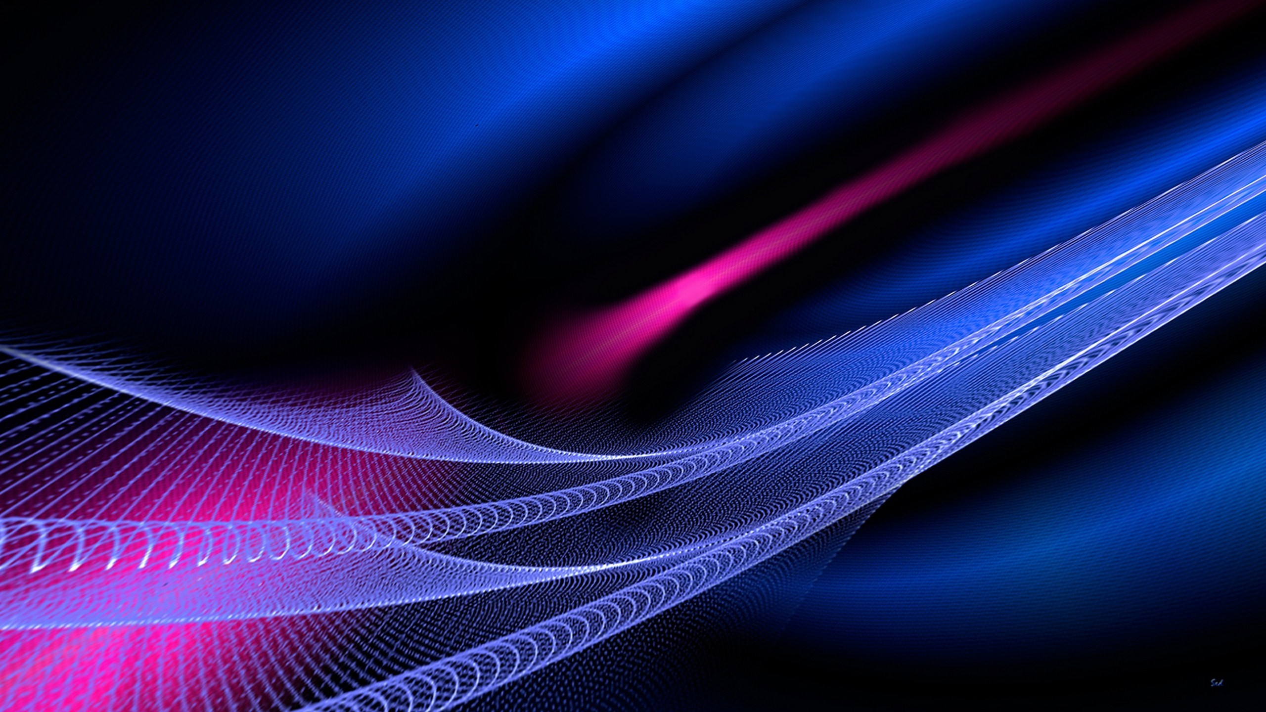 vector Full HD Wallpaper and Background Image | 2560x1440 | ID:456416