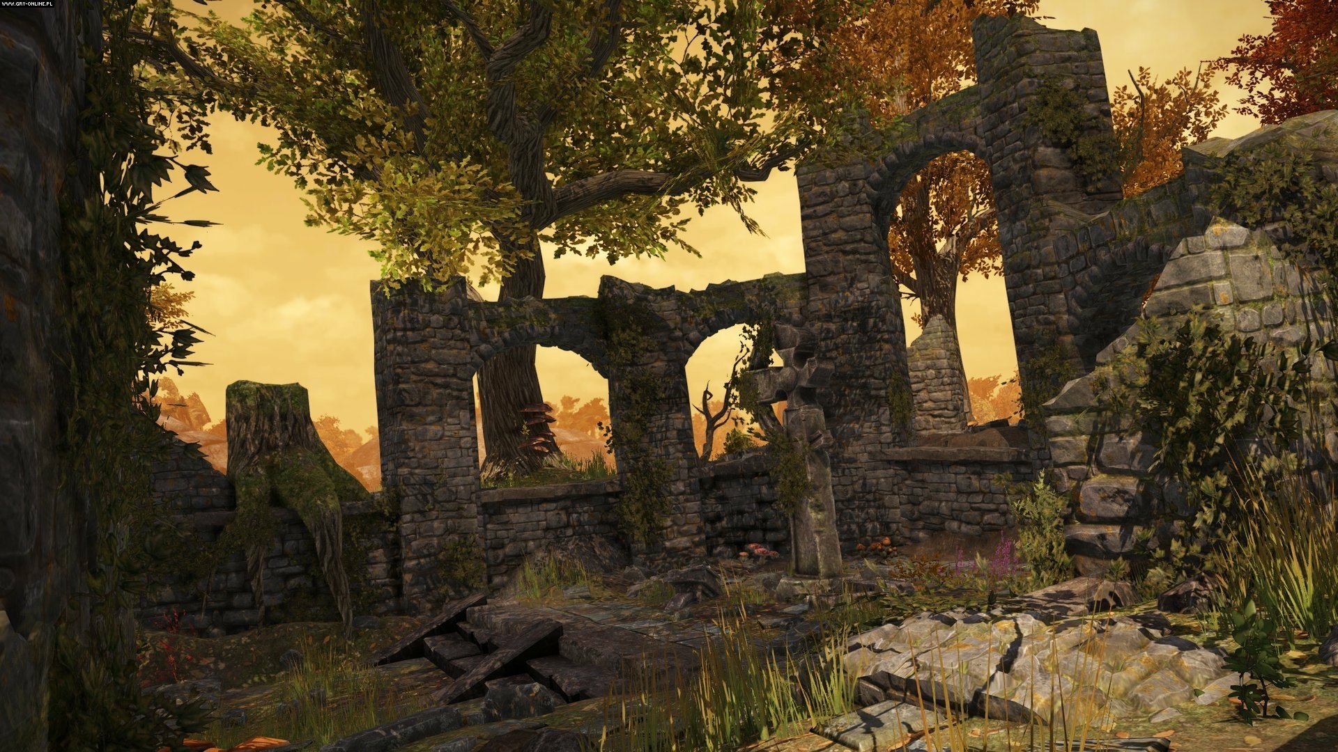 Download Video Game War Of The Vikings HD Wallpaper