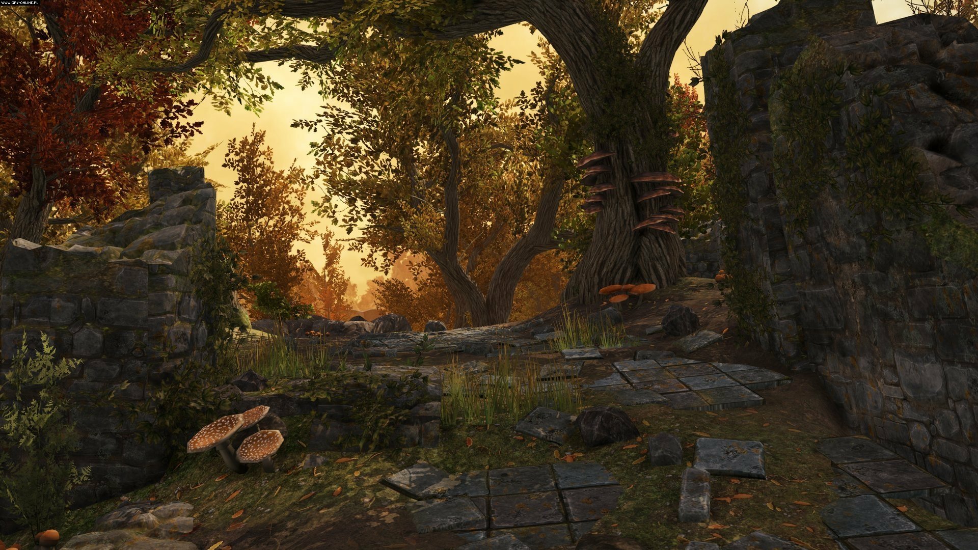 Download Video Game War Of The Vikings HD Wallpaper