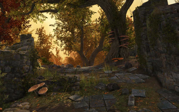 video game War of the Vikings HD Desktop Wallpaper | Background Image