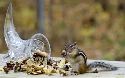 Chipmunk nibbling a nut among fallen autumn leaves beside a decorative glass horn, HD PC desktop wallpaper and background with soft woodland bokeh.