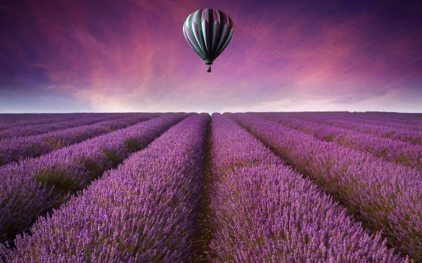 A vibrant landscape featuring expansive lavender fields under a colorful sky, complemented by a hot air balloon floating above. This HD wallpaper captures the serenity of nature.