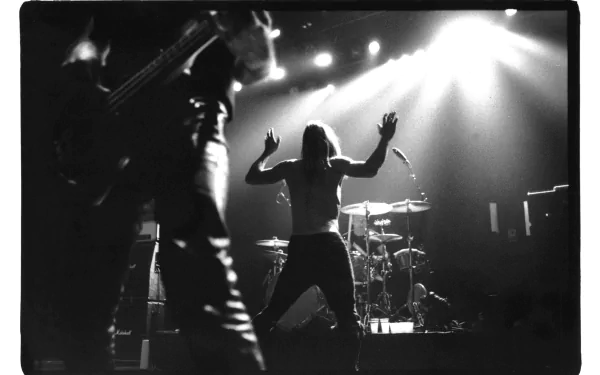 music Iggy Pop HD Desktop Wallpaper | Background Image