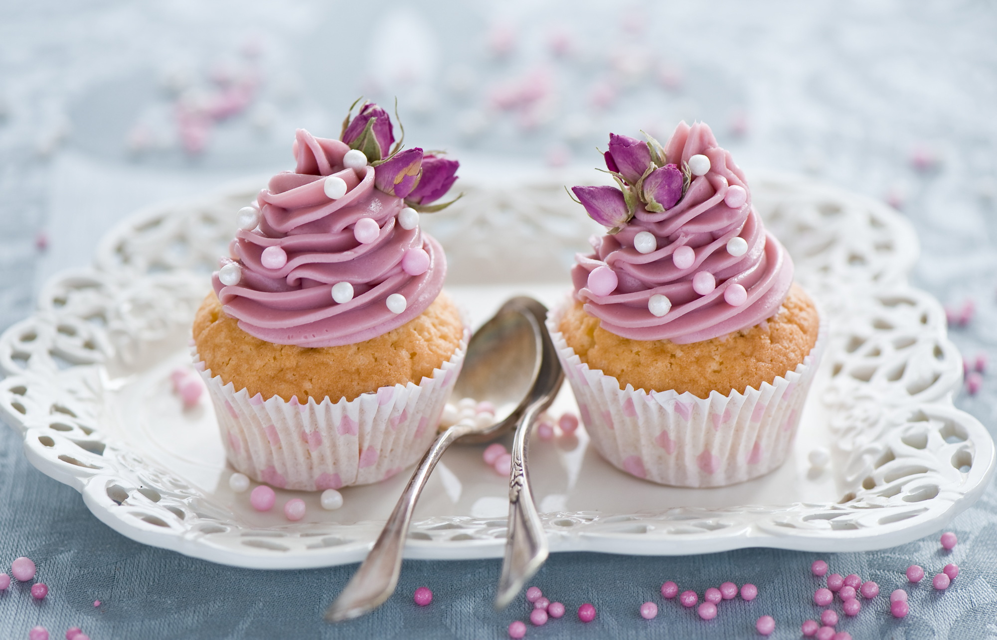 Food Cupcake HD Wallpaper | Background Image