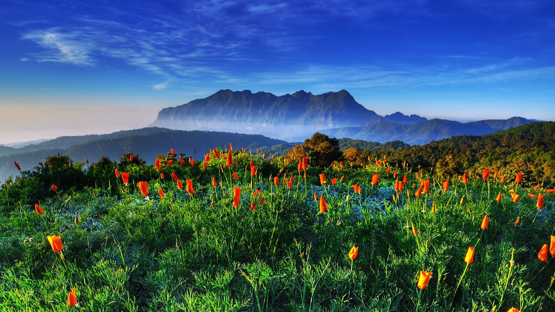 Mount Background Majestic Mountain Bloom: Nature’s HD Panorama