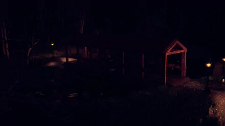  Girl on the bridge that at the river