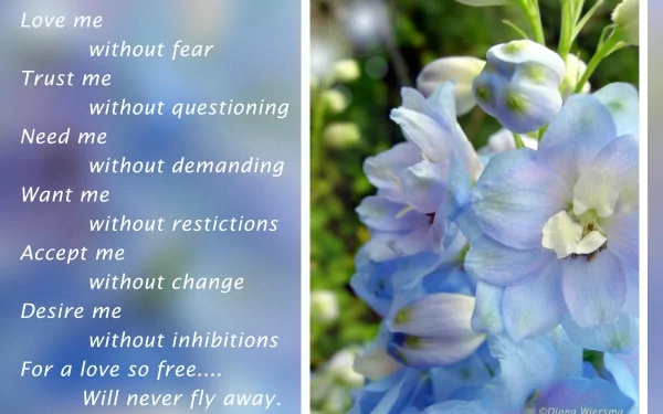 Artistic HD desktop wallpaper conveying love, featuring delicate blue flowers and a heartfelt message about love's freedom and acceptance. The soft, serene background complements the flowers beautifully.