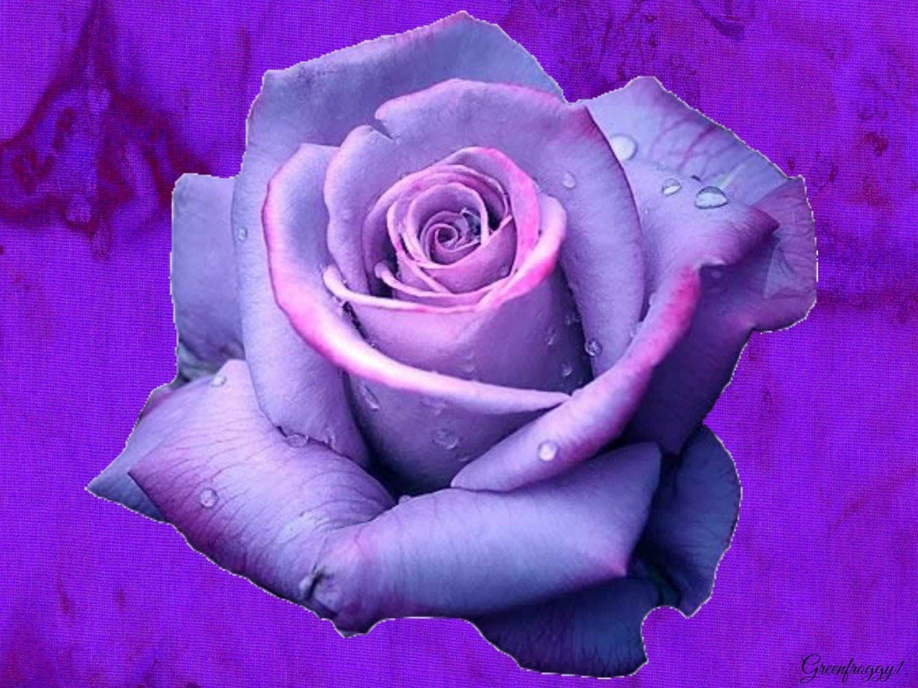 Artistic close-up of a purple rose with water droplets, rendered in high definition for a vivid PC desktop wallpaper and background.