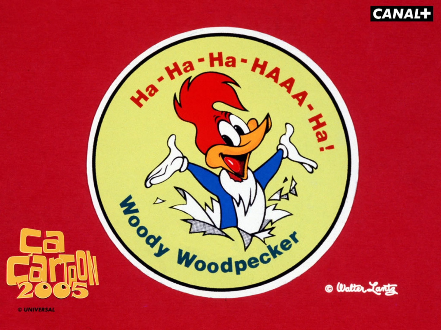TV Show Woody Woodpecker HD Wallpaper | Background Image