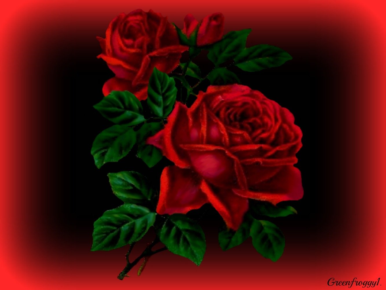 Artistic HD desktop wallpaper featuring vibrant red roses with lush green leaves against a dark background with a soft red gradient border.