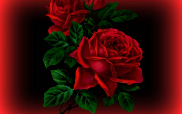Artistic HD desktop wallpaper featuring vibrant red roses with lush green leaves against a dark background with a soft red gradient border.