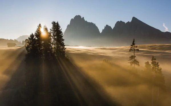 nature sunbeam HD Desktop Wallpaper | Background Image
