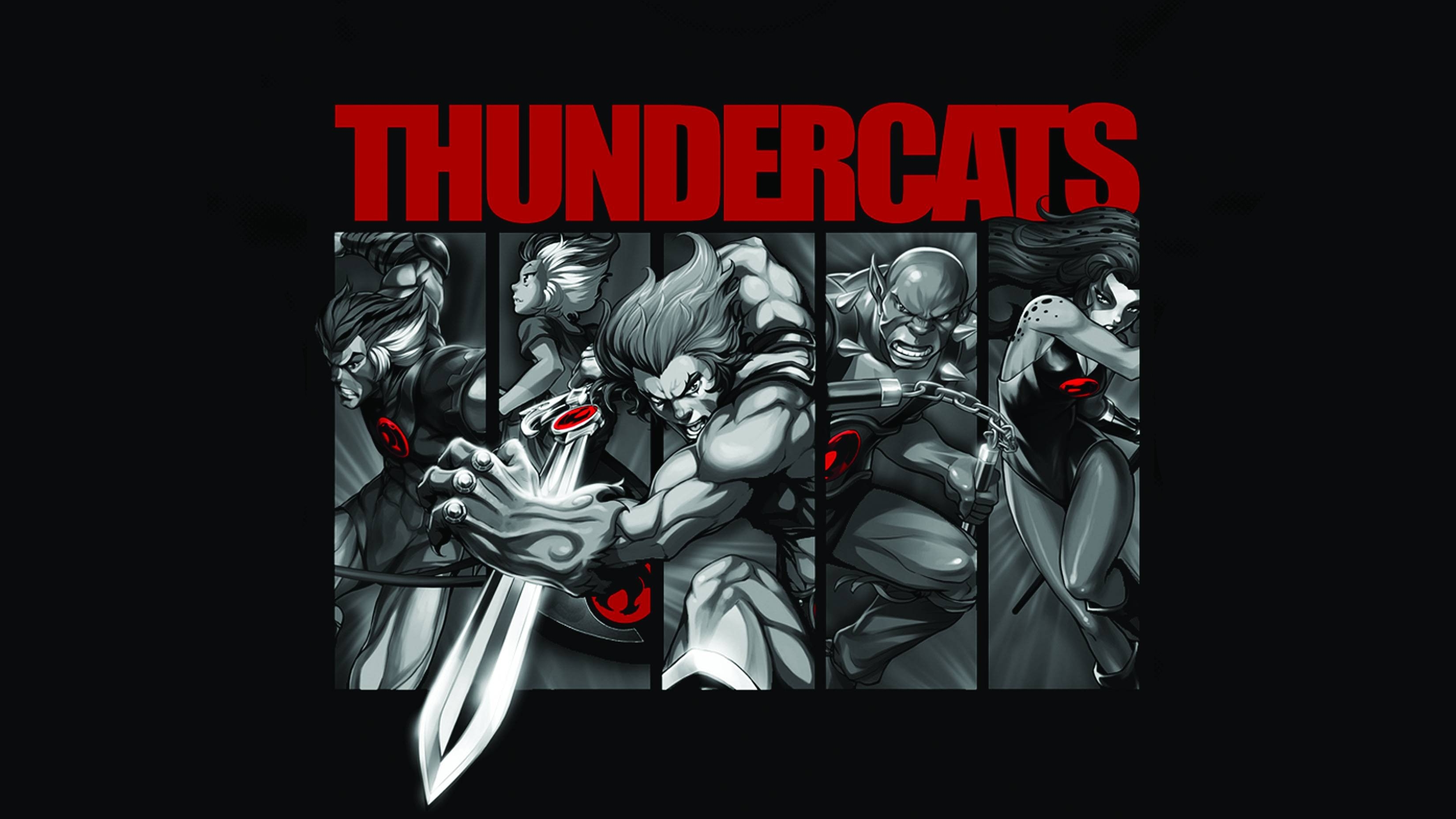 TV Show Thundercats (1985) HD Wallpaper | Background Image