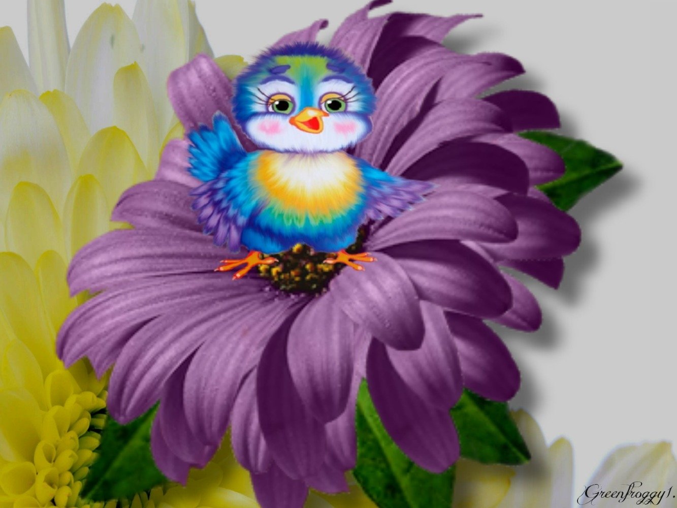 HD PC desktop wallpaper featuring a colorful cartoon bird (animal) perched on a large purple daisy with a soft floral background.