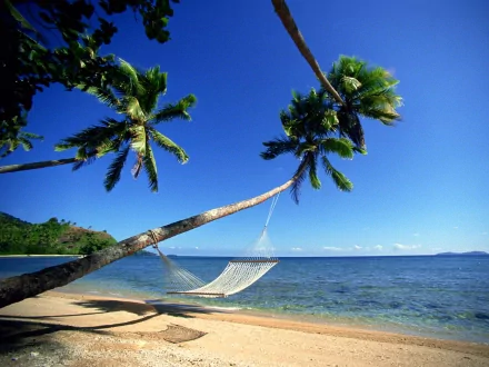 A hammock tied between leaning palm trees on a sandy beach with a clear blue ocean under a bright sky, captured in a high-definition photography wallpaper.