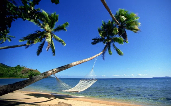 A hammock tied between leaning palm trees on a sandy beach with a clear blue ocean under a bright sky, captured in a high-definition photography wallpaper.