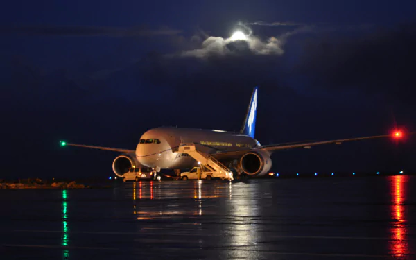A Boeing 787 Dreamliner shines under a night sky, illuminated by decorative lights on the runway, creating a striking HD wallpaper for aviation enthusiasts.