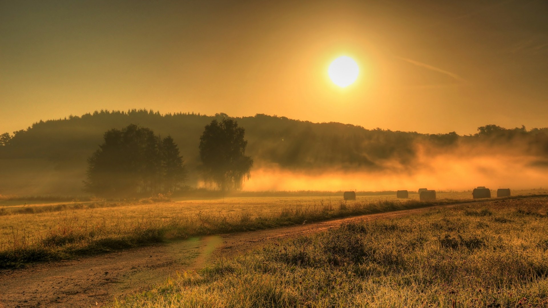 Download Nature Sunrise 4k Ultra HD Wallpaper