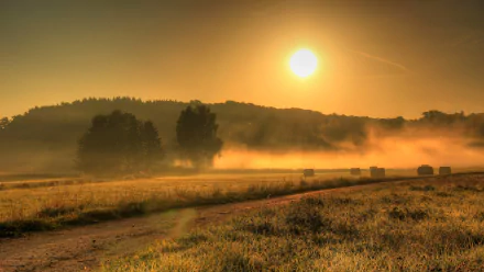 nature sunrise HD Desktop Wallpaper | Background Image