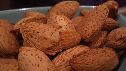 A close-up of brown almond nuts in their shells, showcasing their textured surfaces. The image serves as an HD desktop wallpaper and background, highlighting the beauty of food.