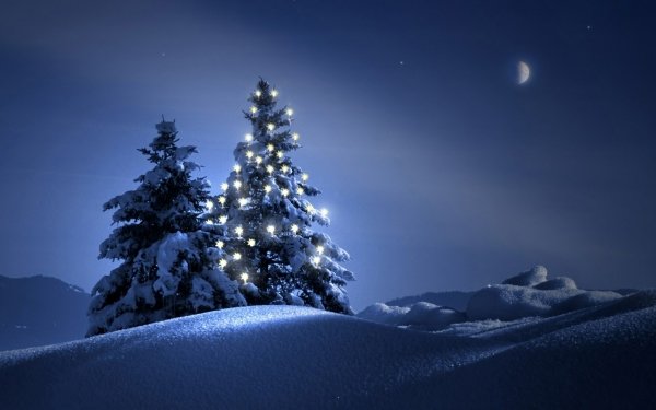 Vacances Noël Christmas Tree Hiver Snow Fond d'écran HD | Image