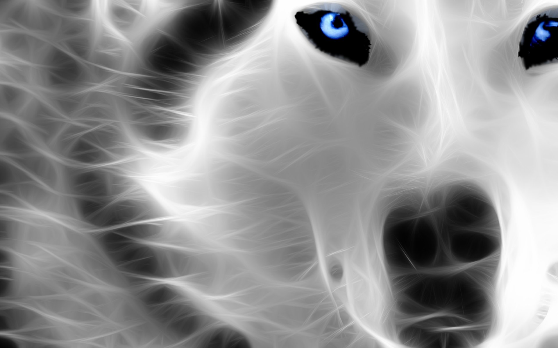 Close-up of a wolf's face with striking blue eyes, set against a striking, ethereal background. This HD desktop wallpaper showcases the beauty and mystique of the animal.