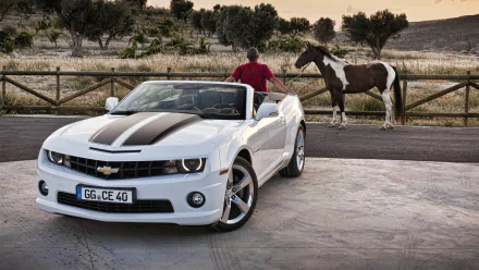 White Chevrolet Camaro Convertible parked on a driveway with a person and a horse near a wooden fence in the background, captured as an HD PC desktop wallpaper.