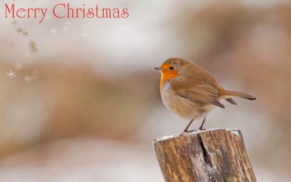 A charming bird perched on a wooden stump, surrounded by a soft winter backdrop, with Merry Christmas elegantly displayed, creating a festive holiday desktop wallpaper.