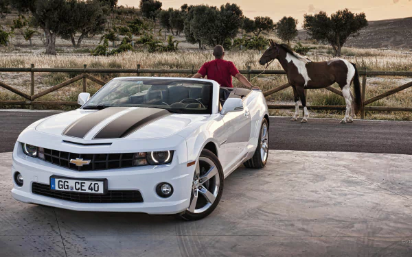 White Chevrolet Camaro Convertible parked on a driveway with a person and a horse near a wooden fence in the background, captured as an HD PC desktop wallpaper.