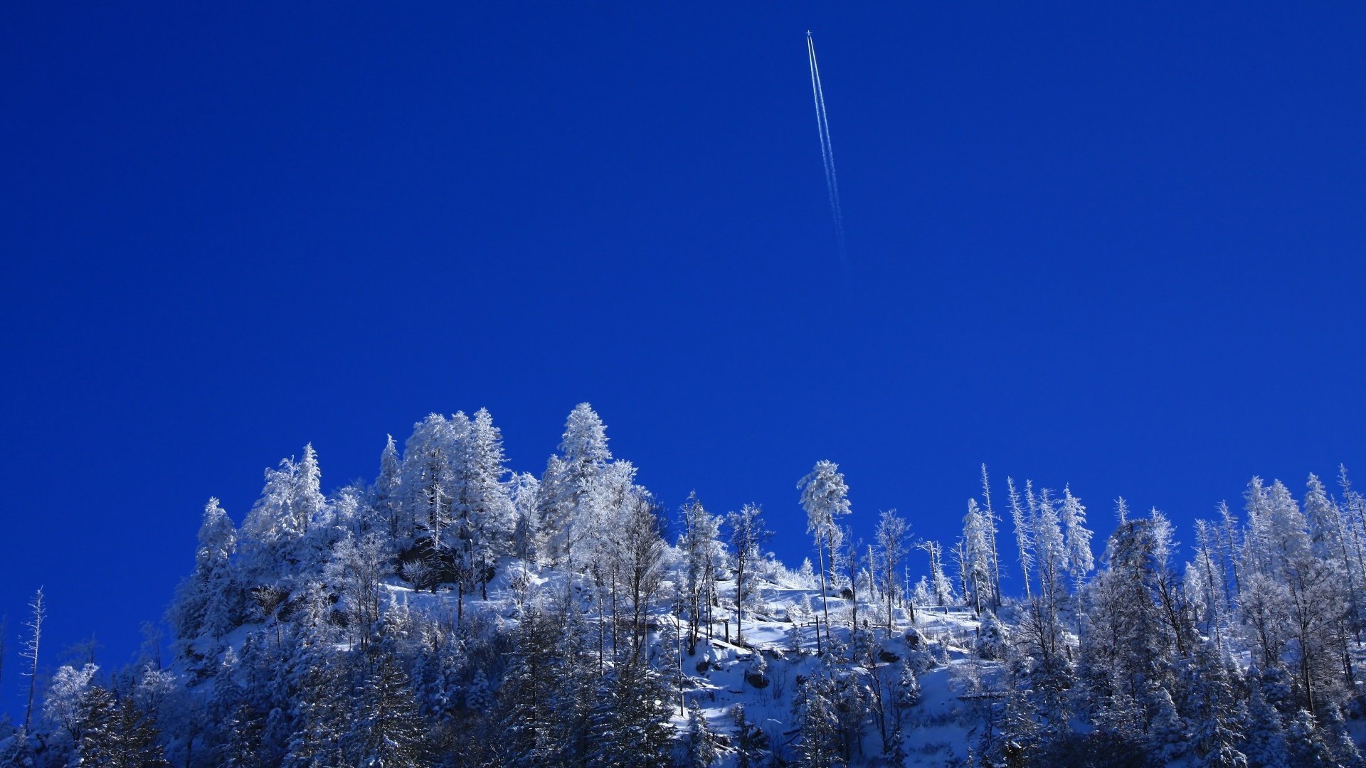 4K Ultra HD winter nature wallpaper showing frost-covered trees atop a snowy hill beneath a deep blue sky with a faint contrail streaking across.